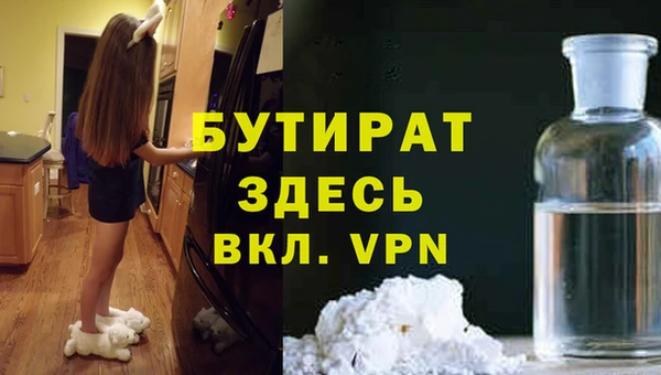сатива Беломорск