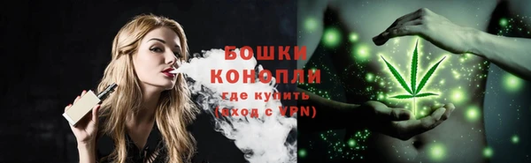 сатива Беломорск