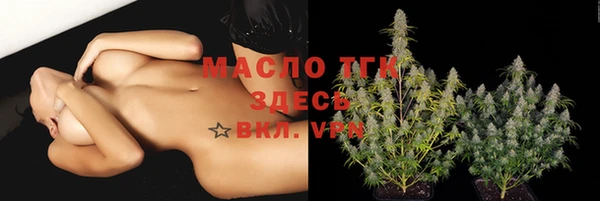 сатива Беломорск