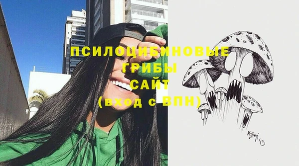 сатива Беломорск